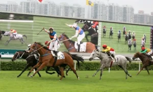 Kinh Nghiệm Tìm Hiểu Cá Cược Đua Ngựa 188Loto Siêu Chuẩn Từ Cao Thủ